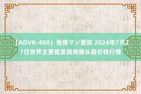 【ADVR-480】発情マゾ愛奴 2024年7月27日世界主要批发阛阓猴头菇价钱行情