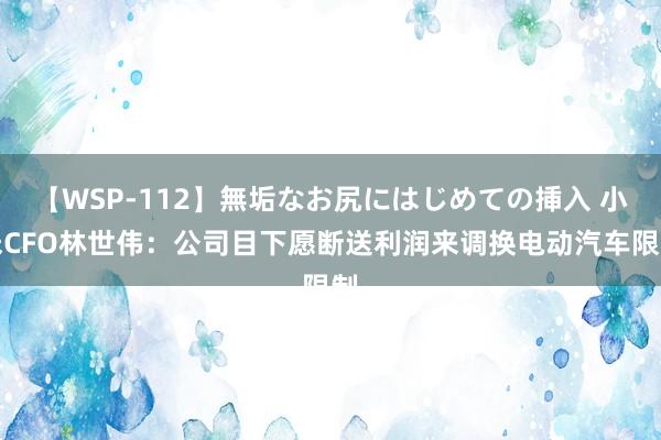 【WSP-112】無垢なお尻にはじめての挿入 小米CFO林世伟：公司目下愿断送利润来调换电动汽车限制