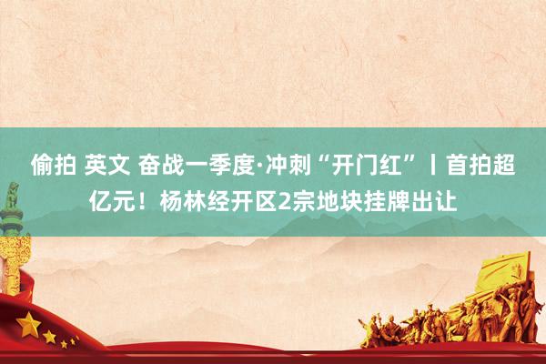 偷拍 英文 奋战一季度·冲刺“开门红”丨首拍超亿元！杨林经开区2宗地块挂牌出让