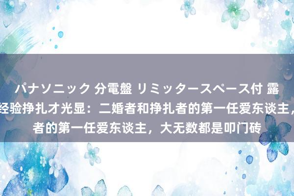 パナソニック 分電盤 リミッタースペース付 露出・半埋込両用形 经验挣扎才光显：二婚者和挣扎者的第一任爱东谈主，大无数都是叩门砖