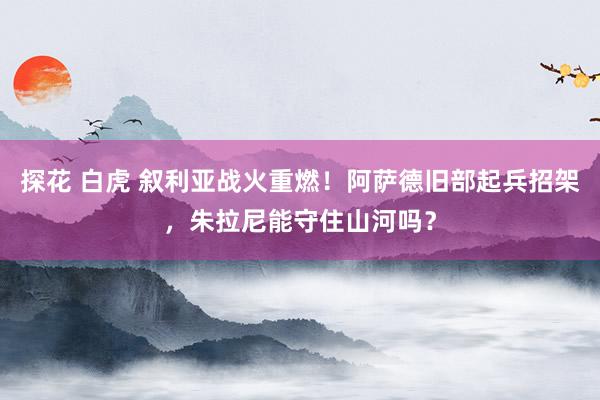 探花 白虎 叙利亚战火重燃！阿萨德旧部起兵招架，朱拉尼能守住山河吗？