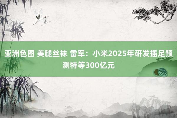亚洲色图 美腿丝袜 雷军：小米2025年研发插足预测特等300亿元